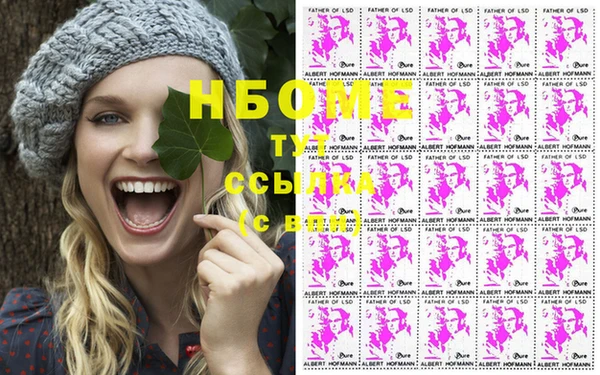 сатива Вязьма