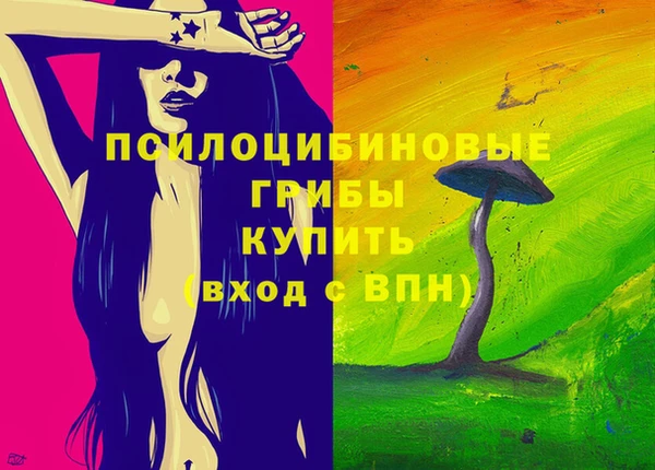сатива Вязьма