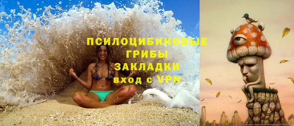 сатива Вязьма
