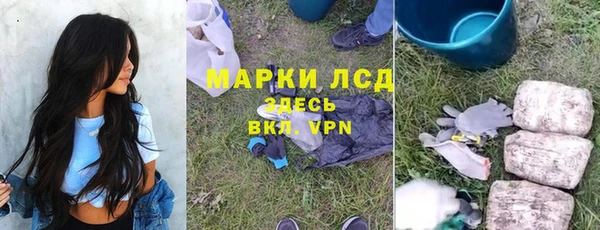 сатива Вязьма