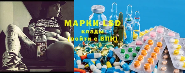 сатива Вязьма