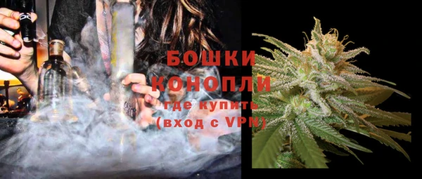 сатива Вязьма