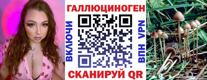 Галлюциногенные грибы Magic Shrooms  дарнет шоп  Люберцы 